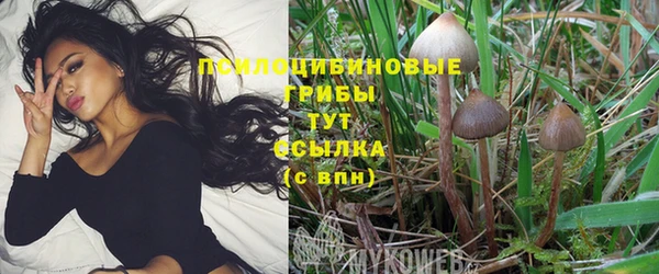 ПСИЛОЦИБИНОВЫЕ ГРИБЫ Алзамай