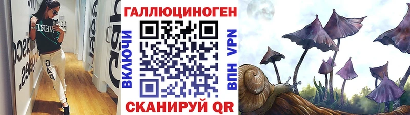 дарнет шоп  Николаевск  hydra зеркало  Галлюциногенные грибы прущие грибы 