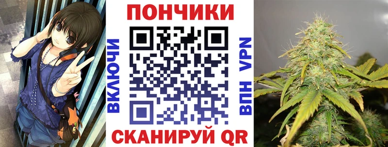 как найти Николаевск Шишки марихуана марихуана